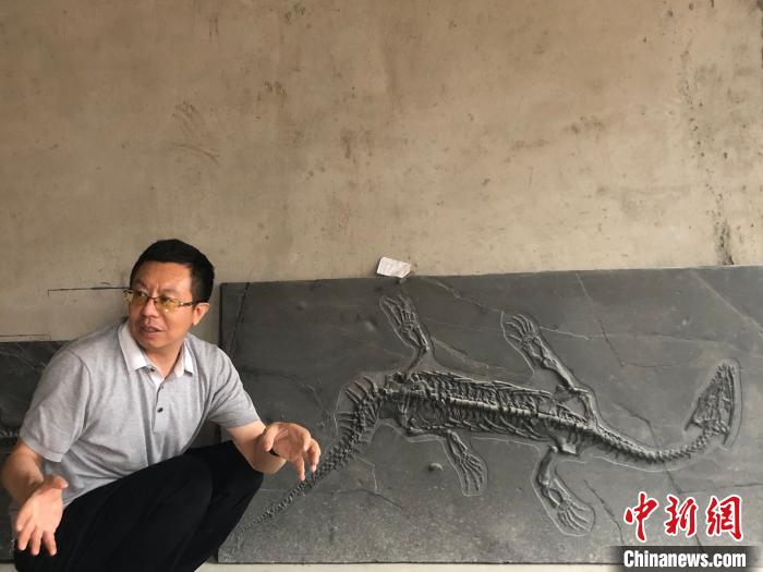 化石“迷”王军有：是“化石文化传播使者”也是“药罐子”馆长