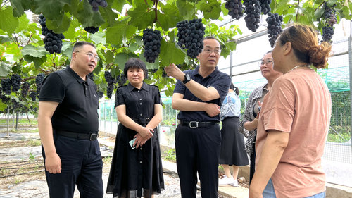 围绕特色农产品产业发展调研视察 围绕特色农产品产业发展调研视察