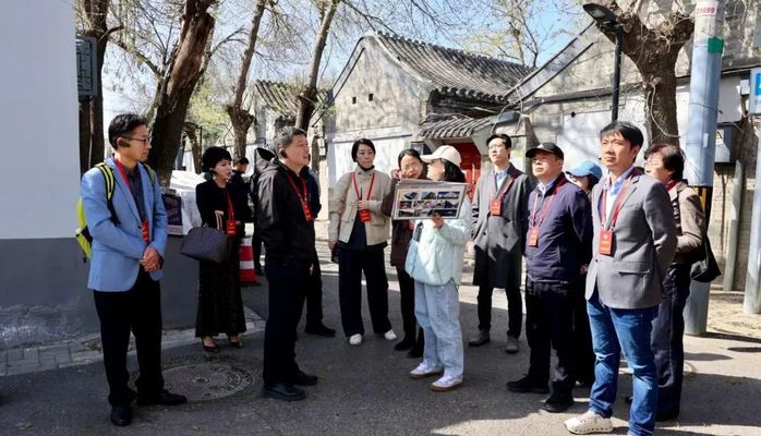 各区政协｜不了解政协？看看他们都在忙啥！